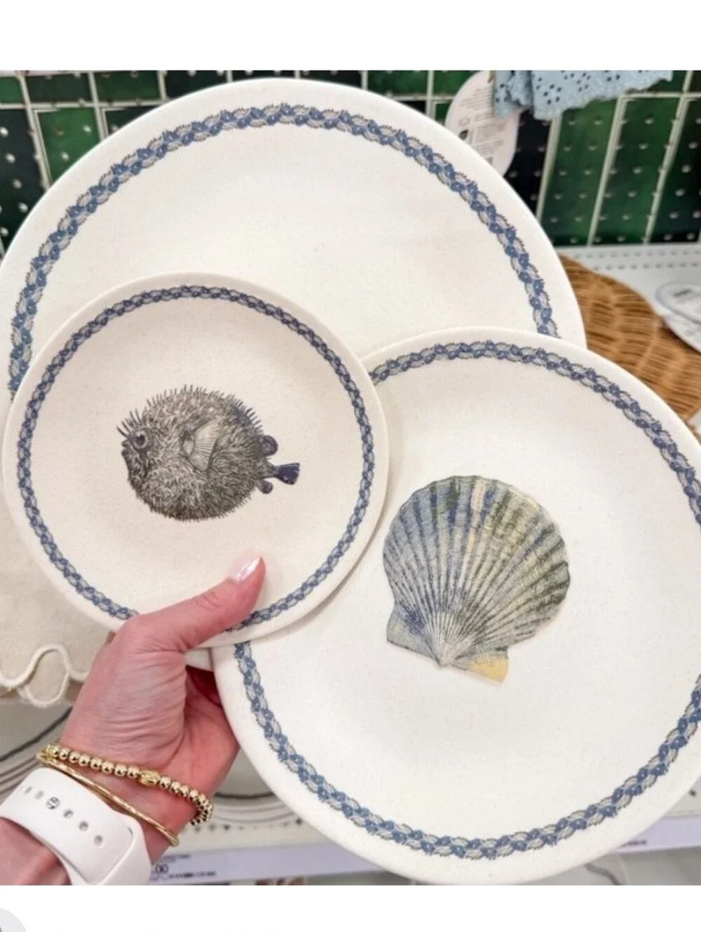 Melamine Set Of 4 Shell Border Salad Plates By Threshold